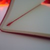 Bolinhas brancas com fundo vermelho