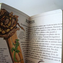 1 - Repteis