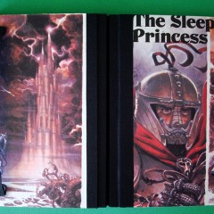 1 - The Sleeping Princess