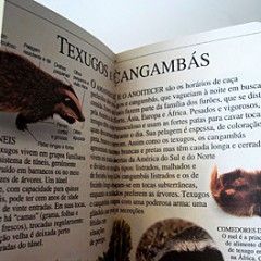 14 - Texugos - Industria Textil