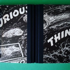 4 - Curious Thing
