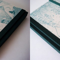 5 - Verde - Neve