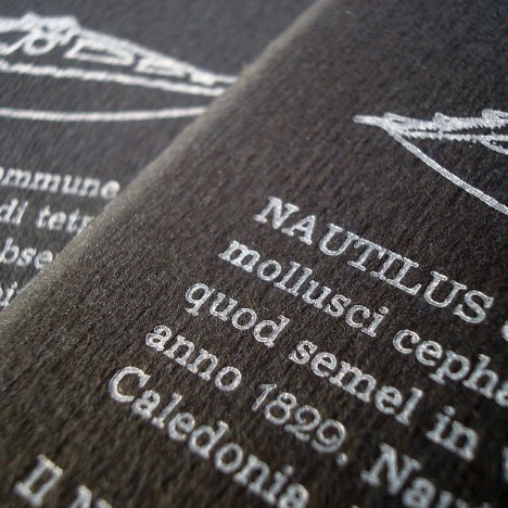 Corrupio Nautilus