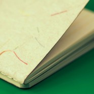 Fora de Estoque-Dos-à-Dos Fibra de Algodão